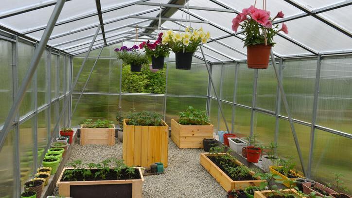 Greenhouses in the desert: Are they useful?
