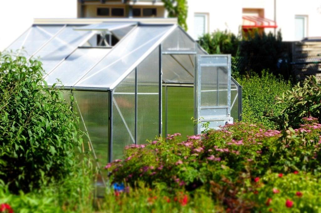 5 Top Tips for Greenhouse Maintenance by Ewan Michaels