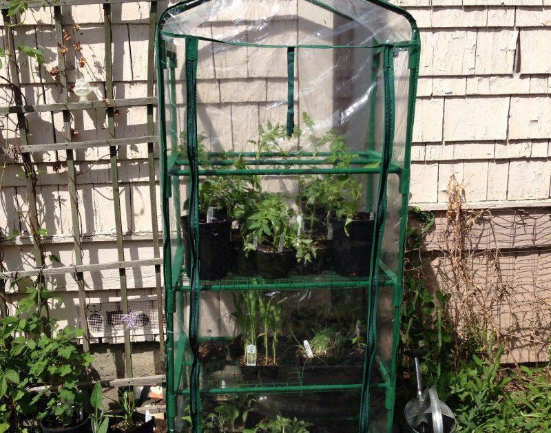 How to Use a 4-Tier Mini Greenhouse - Krostrade