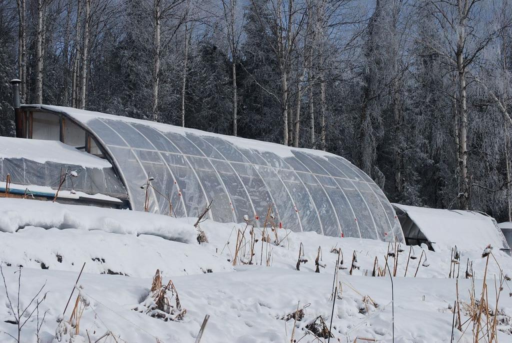 Is an Unheated Greenhouse Frost-Free? - Krostrade