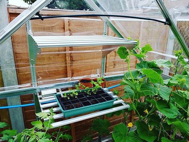 STARTING FROM SEED IN A GREENHOUSE - Canopia