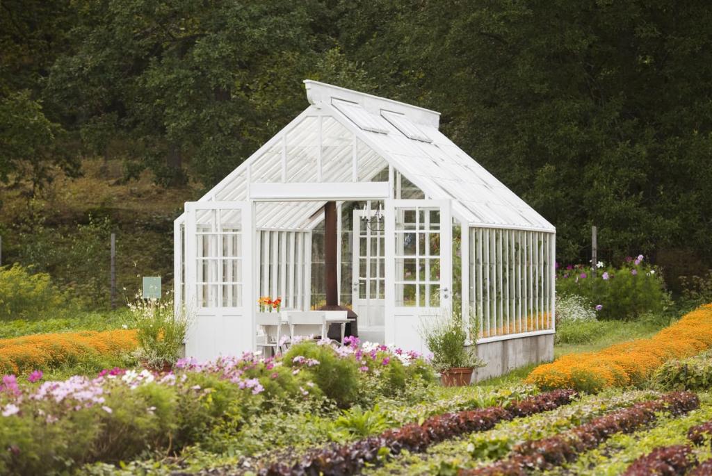 Best Spot For A Greenhouse - How To Site A Greenhouse In The Landscape