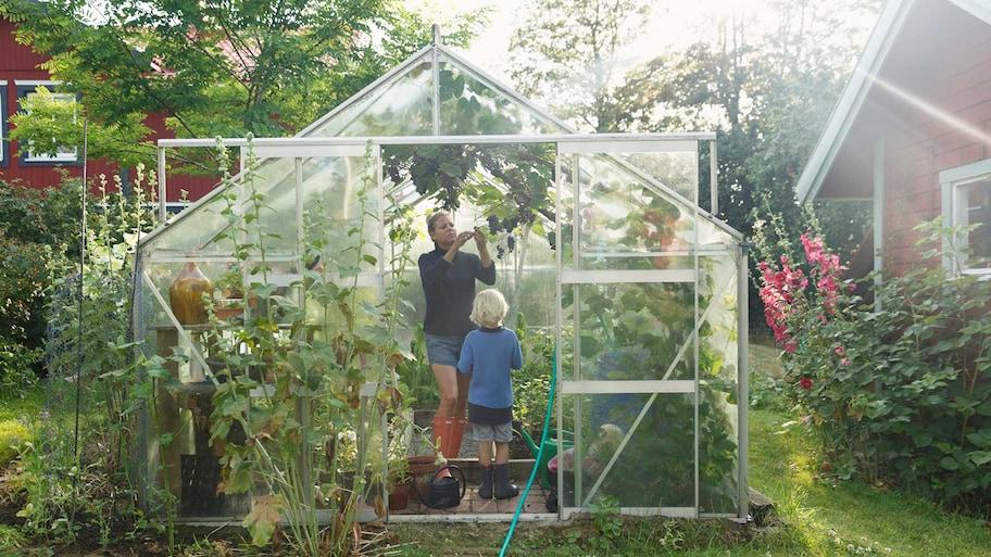 Fun Greenhouse Ideas for Your Yard